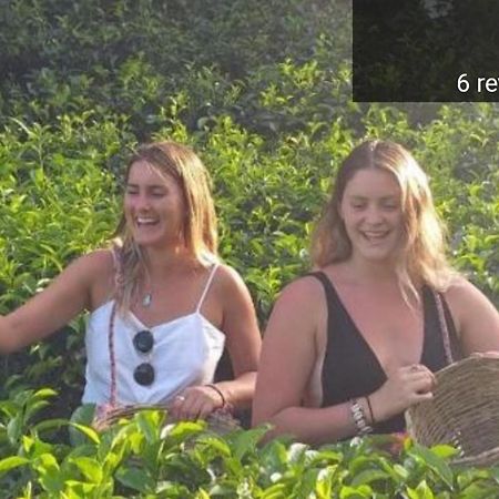 Tea Villas Ella Kültér fotó