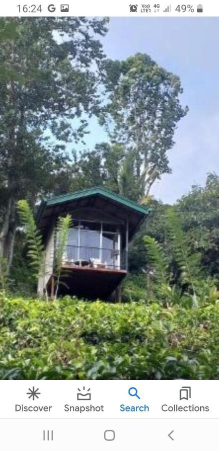 Tea Villas Ella Kültér fotó
