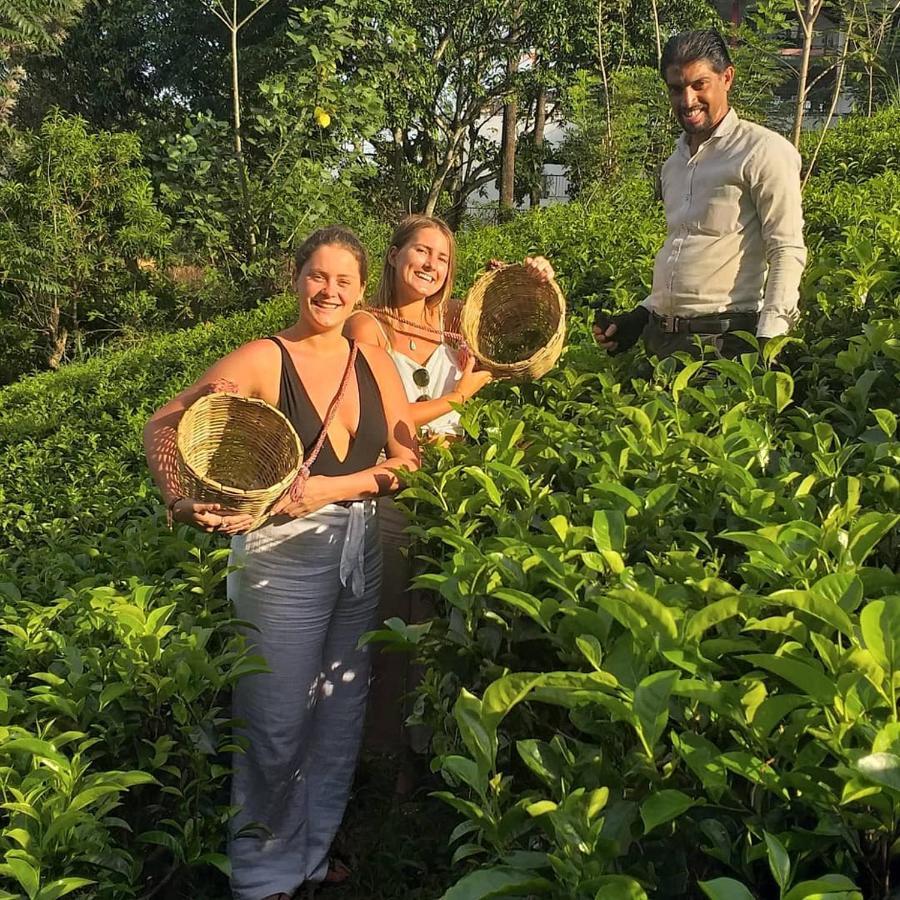 Tea Villas Ella Kültér fotó